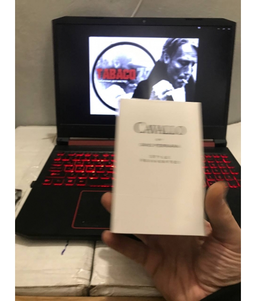 Cavallo Gino Ferarra